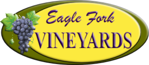 Eagle Fork Vineyards